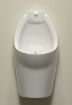 Picture of Falcon Flax Waterfree Urinal •  Vitreous China