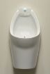 Picture of Falcon Flax Waterfree Urinal •  Vitreous China