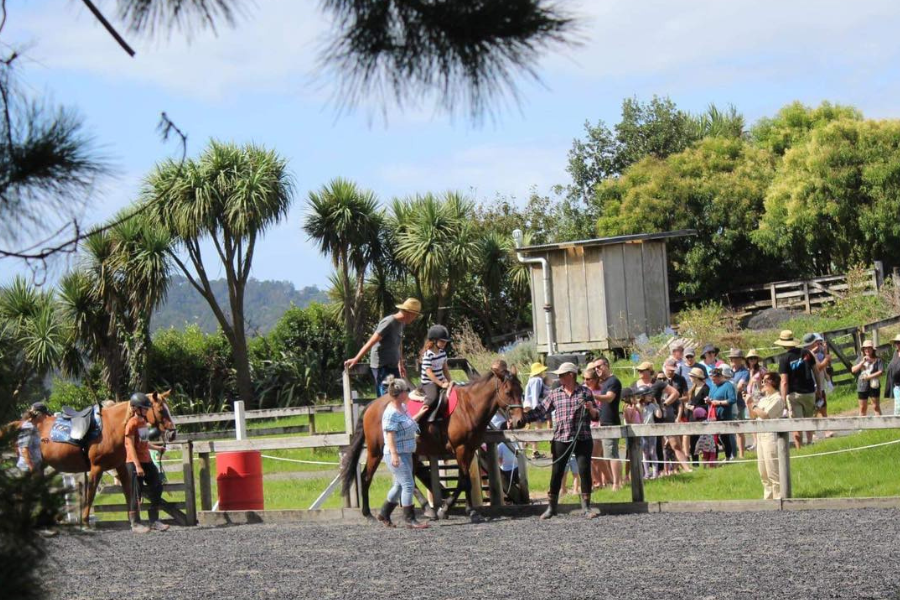The Community Horse Club that Cares for Horses, People, and the Land ...